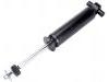 Amortiguador Shock Absorber:251 413 031