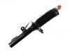 Stoßdämpfer Shock Absorber:1 388 249