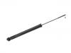 амортизатор Shock Absorber:41810-71L70