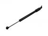 Steering Damper:81.43702.6010