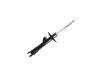 Amortisseur Shock Absorber:2905110XG83XA