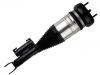 Shock Absorber:205 320 48 68