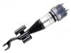 Stoßdämpfer Shock Absorber:253 320 03 38