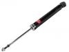 减振器 Shock Absorber:E62106UA1B