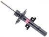 减振器 Shock Absorber:543027894R